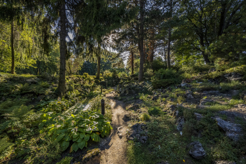 Bratislava botanicka zahrada-188