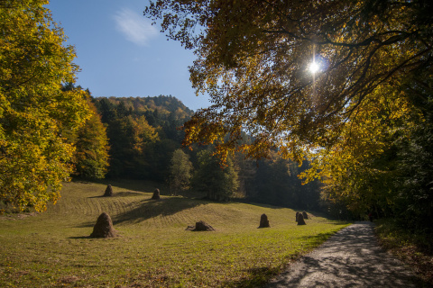 Pieniny-203