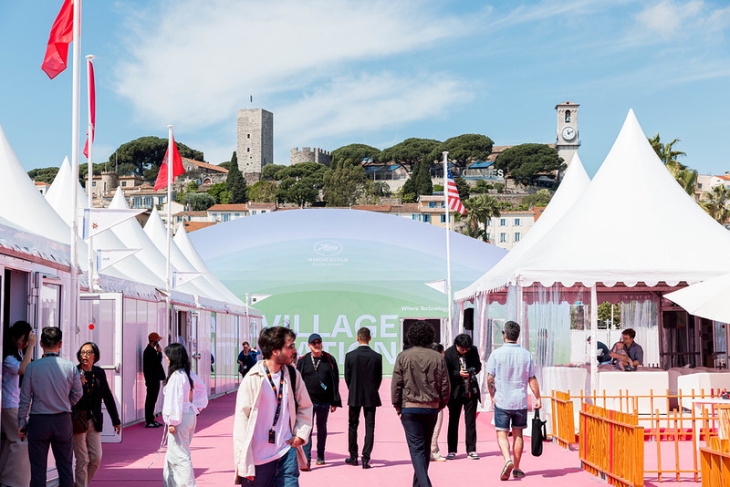 54992043065_a03db0617d_c